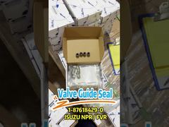 1-87618429-0 selo 1876184290 do guia da válvula apropriado para ISUZU 4HK1 6HK1 6UZ1