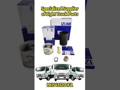 Peça de reposição OEM para ISUZU / Mitsubishi / HINO / JAC / NISSAN / TOYOTA