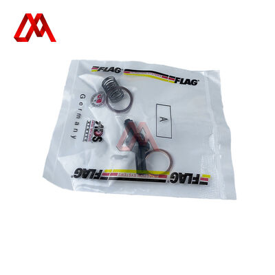 BM1104-G001-01 Kit de Reparo de Mola para Bomba de Caminhão Universal